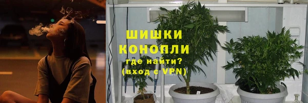 стафф Абаза