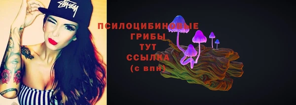 стафф Абаза