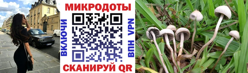 где найти наркотики  Азов  mega ТОР  Псилоцибиновые грибы мухоморы 