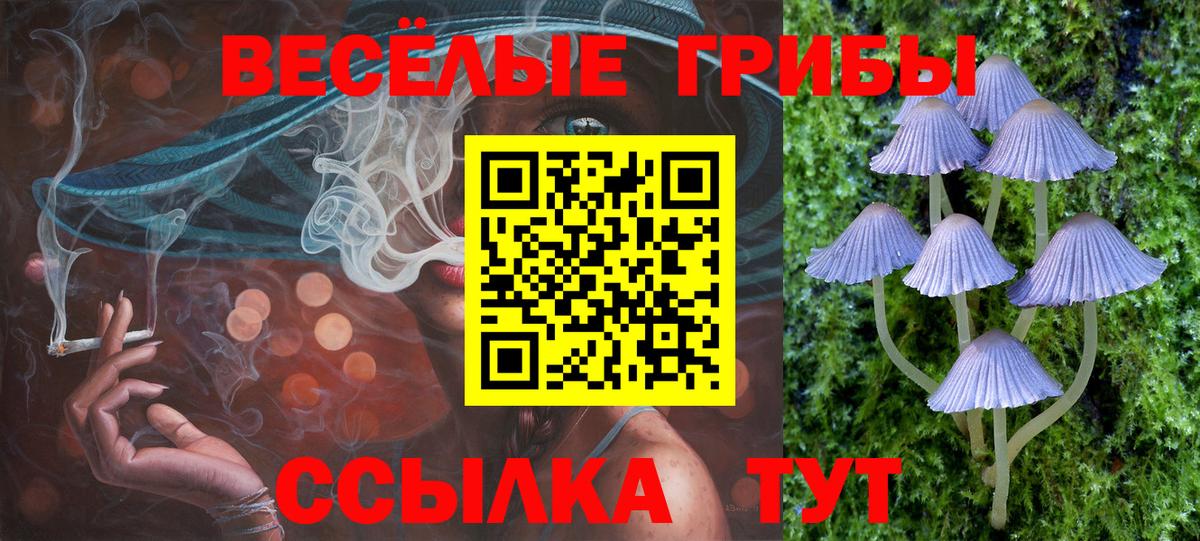 Галлюциногенные грибы Magic Shrooms Азов
