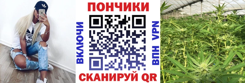 Бошки Шишки гибрид  blacksprut зеркало  Азов 